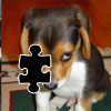 Puppy Puzzle Icon
