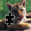Tiger Puzzle Icon